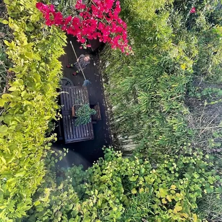 Rosa Dos Ventos- Retiro No Coracaeo De Belem Lissabon